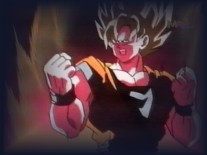 ssj.jpeg